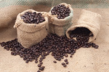 Kahve çekirdeği