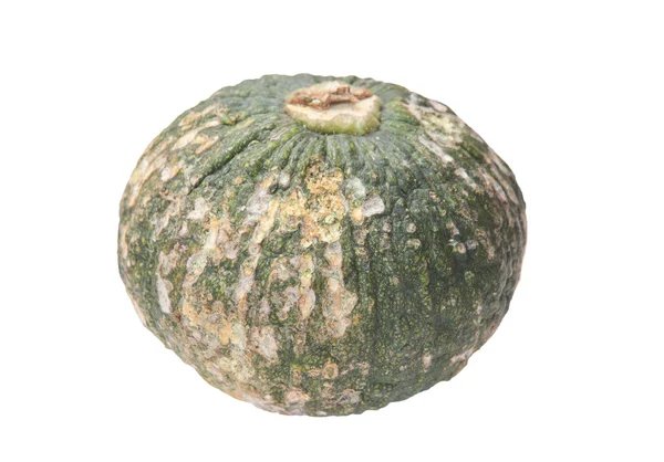 Calabaza — Foto de Stock