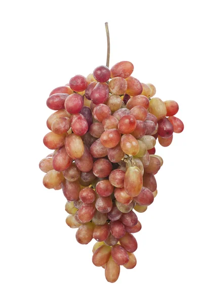 Kawałek czerwonych winogron — Zdjęcie stockowe