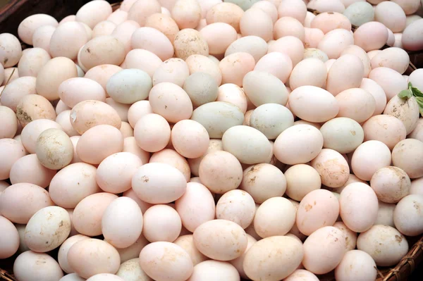 Duck eggs — Stock Photo, Image