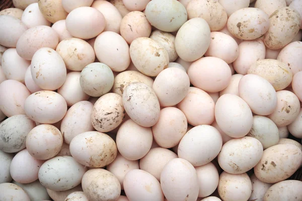 Качині яйця — стокове фото