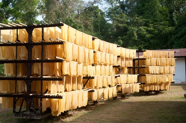 Tayland Kauçuk Sanayi