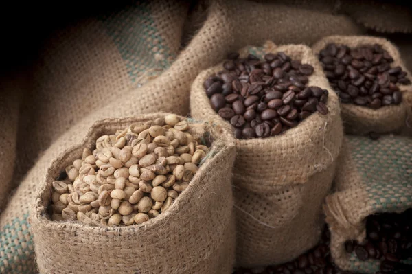 Taza de café y frijoles sobre un fondo blanco. — Foto de Stock