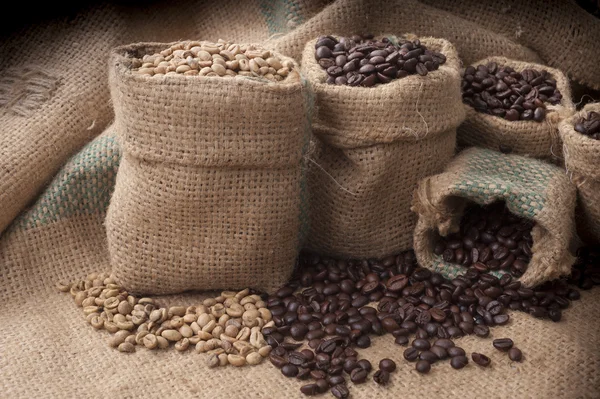 Taza de café y frijoles sobre un fondo blanco. — Foto de Stock