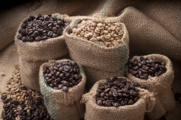 Taza de café y frijoles sobre un fondo blanco. —  Fotos de Stock