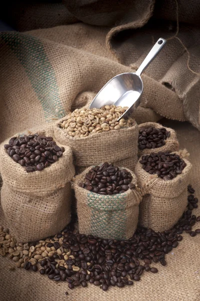 Taza de café y frijoles sobre un fondo blanco. —  Fotos de Stock