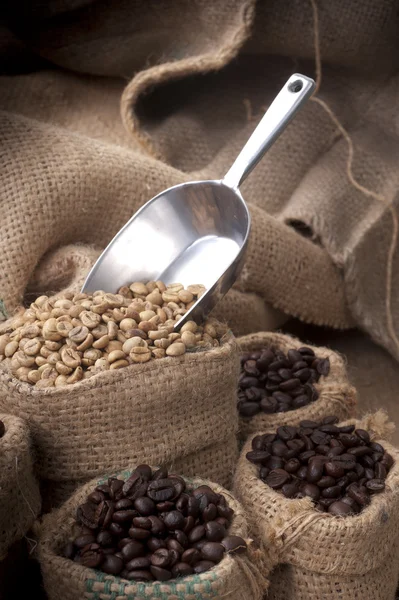 Kaffeetasse und Bohnen auf weißem Hintergrund. — Stockfoto