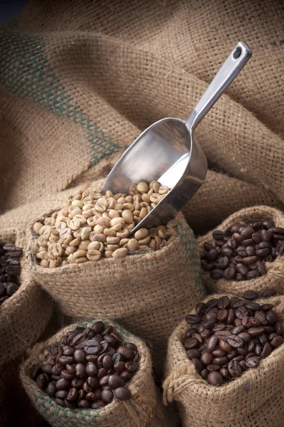 Taza de café y frijoles sobre un fondo blanco. — Foto de Stock