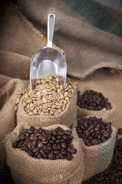 Coffee cup and beans on a white background. — Stock Photo, Image