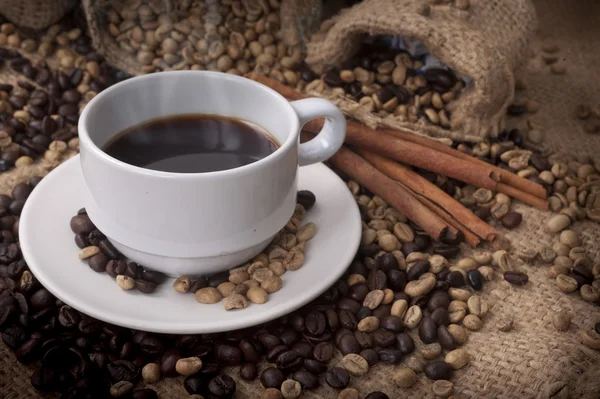 Coffee cup and coffee beans Royalty Free Stock Photos