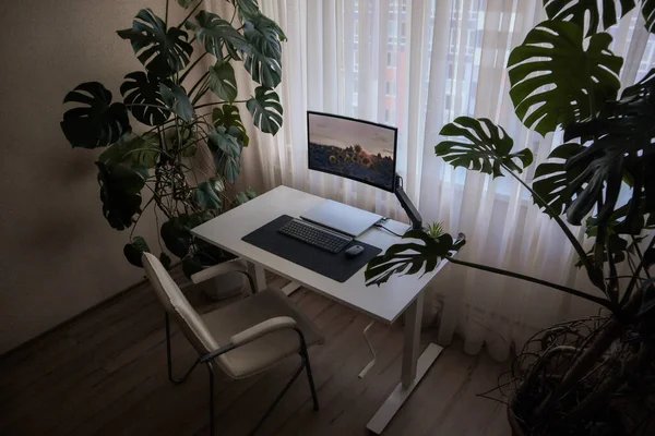Bilgisayarı ve evde monitörü olan bir iş yeri. Minimalizm tarzı iç mekan. İçinde bitkiler olan modern iç mekan..