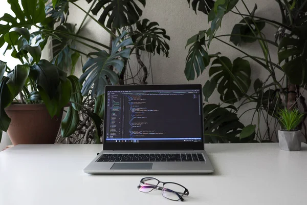 Minimalismo Local Trabalho Casa Com Laptop Aberto Óculos Plantas Sala — Fotografia de Stock