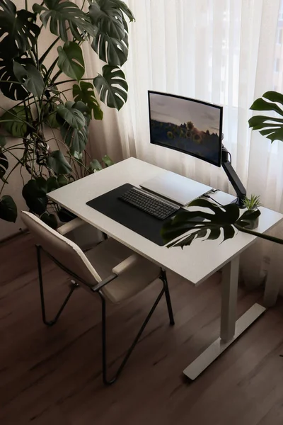 Espaço Trabalho Casa Com Laptop Minimalismo Interior Com Plantas Sala — Fotografia de Stock