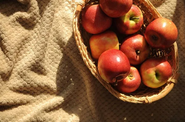 Harvest Straw Basket Many Red Ripe Apples Draperied Bedcover Background — Stock Photo, Image