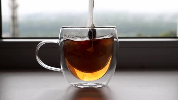 L'homme fait du thé en sachet de thé — Video