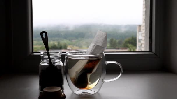 El té en la bolsa de té se está volviendo más oscuro en la taza de vidrio — Vídeos de Stock