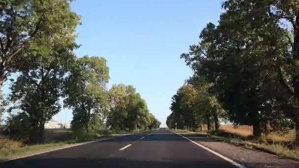 Güzel Bir Sabah Güneşli Asfalt Yolda Arabasız Ağaçlarla — Stok video