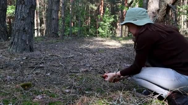 Young woman in hat is picking up mushrooms in the forest — Stockvideo