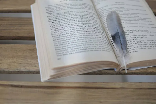 Bird pen lying on the book — Foto Stock
