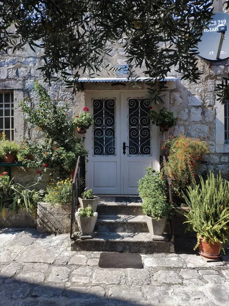 Gardening Potted Plants Stone Building Doors Old Town Perast Montenegro — Stock Photo, Image