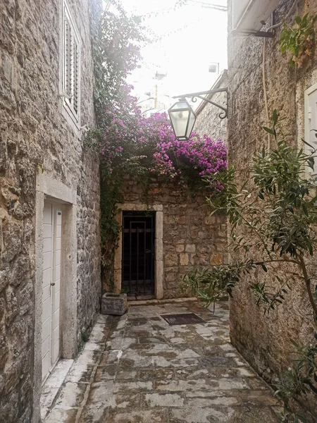 Belle Rue Étroite Pierre Avec Des Lanternes Des Fleurs Dans — Photo