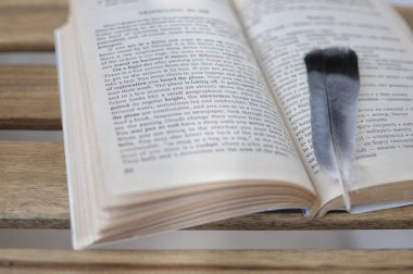 Kuş kafesi kitabın üzerinde yatıyor. Yazılan konsept