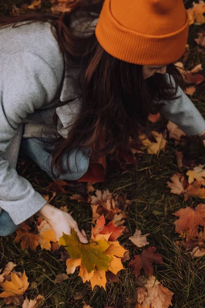 Jovem Mulher Coletando Folhas Bordo Coloridas Chão Monte — Fotografia de Stock