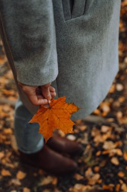 Bir kadın elinde renkli akçaağaç yaprakları tutar..