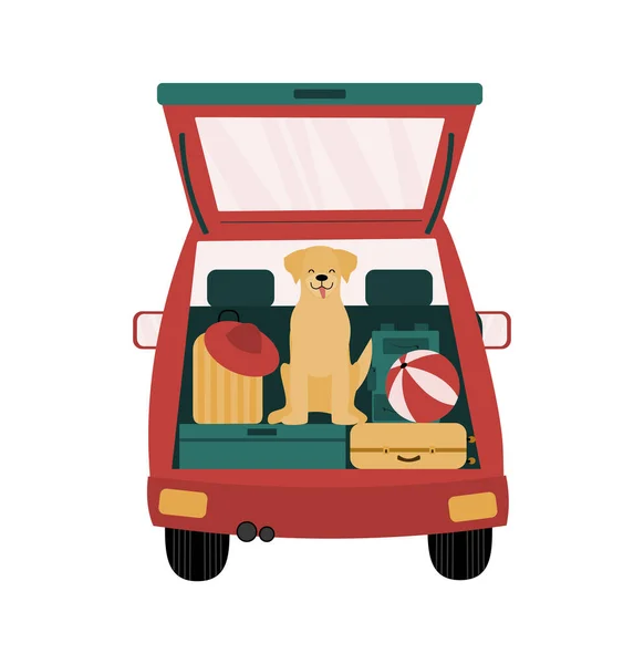 Travelling with pets. Dog is sitting in the back sitting of the car. Trunk is full of belongings such as suitcases, backpack. Road trip vacation 