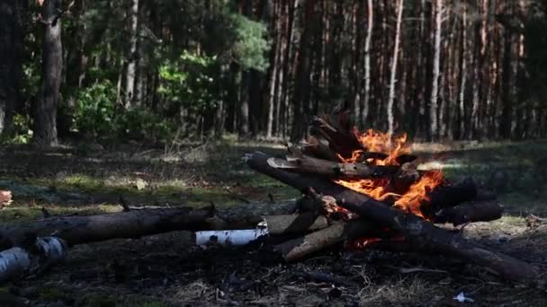 Dym Kominkiem Lesie Podgrzewania Przygotowania Posiłku — Wideo stockowe