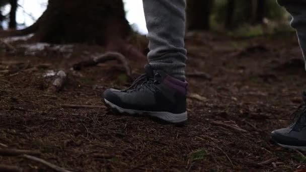 Μια Γυναίκα Μπότες Πεζοπορίας Που Περπατάει Στο Δάσος Κοντινό Πλάνο — Αρχείο Βίντεο