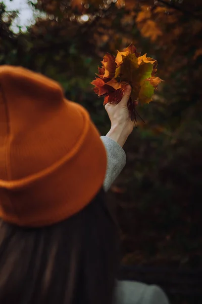 Woman Holds Colorful Maple Leaves Her Hand — Fotografia de Stock