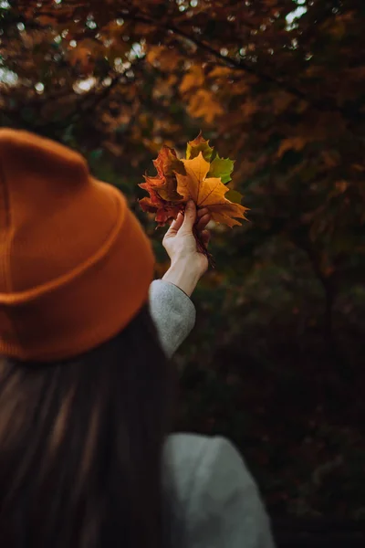 Uma Mulher Segura Folhas Bordo Coloridas Sua Mão — Fotografia de Stock