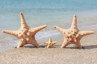 Aile tatil kavramı - deniz-yıldız üzerinde yürüyen karşı plaj kum.