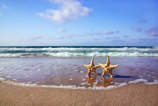 Conceptul de vacanță - două stele de mare mergând pe plaja de nisip împotriva wa — Fotografie, imagine de stoc
