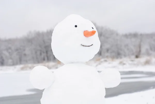 Natal feliz inverno boneco de neve com cenoura e olhos — Fotografia de Stock