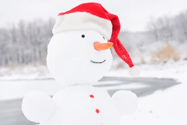 Felice Natale invernale pupazzo di neve con carota e occhi — Foto Stock