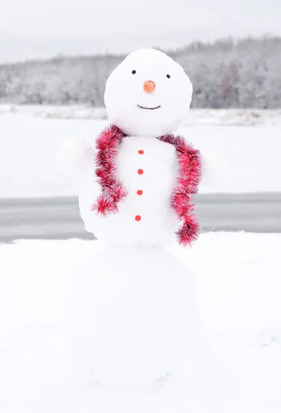 Felice Natale invernale pupazzo di neve con carota e occhi — Foto Stock