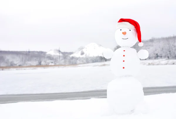 Happy zimě Vánoční sněhulák s mrkví a očima — Stock fotografie