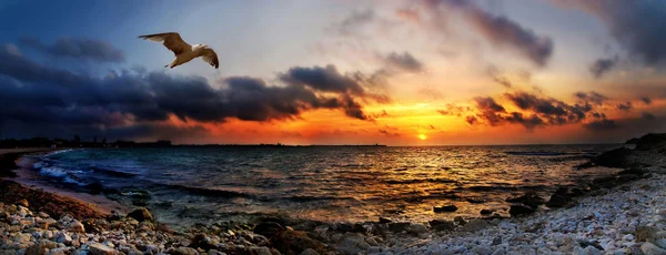 Opvallende zonsondergang boven de zee — Stockfoto