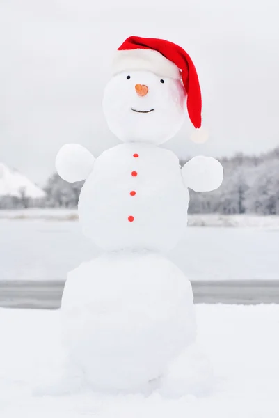 Happy winter christmas snowman with carrot and eyes — Stock Photo, Image