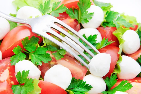 与西红柿、 奶酪芝士和绿色的新鲜蔬菜沙拉 — 图库照片