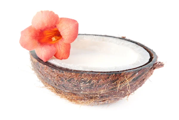 Mitad de coco con flor tropical anaranjada aislada en bac blanco — Foto de Stock