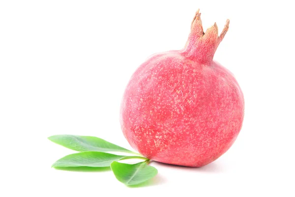 Ripe pomegranate isolated on the white background — Stock Photo, Image