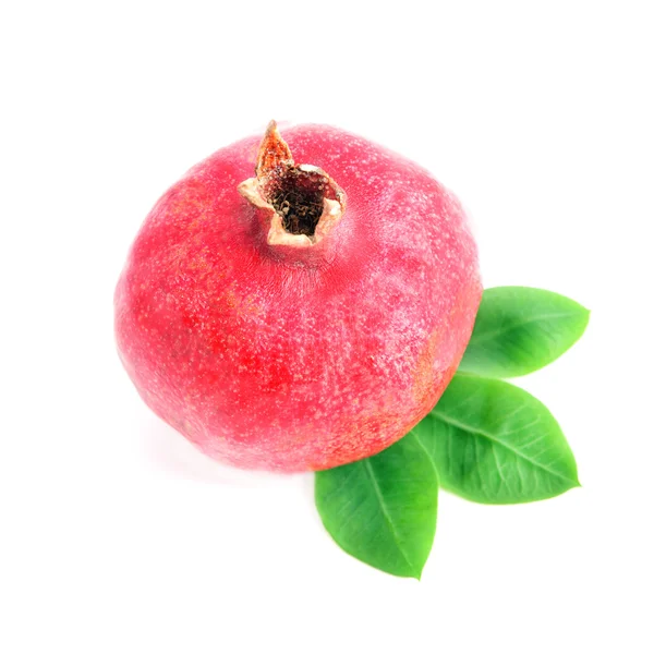 Ripe pomegranate isolated on the white background — Stock Photo, Image