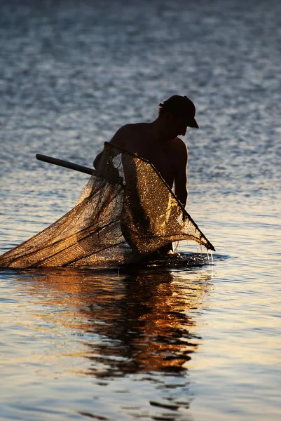 Pescador con la red de desembarco al atardecer —  Fotos de Stock