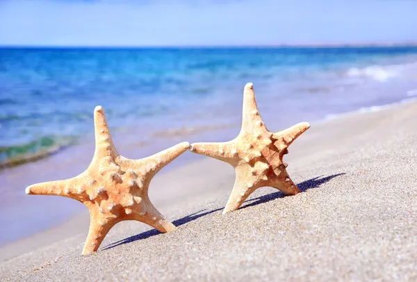 Holiday concept - two sea-stars walking on sand beach against wa — Stock Photo, Image