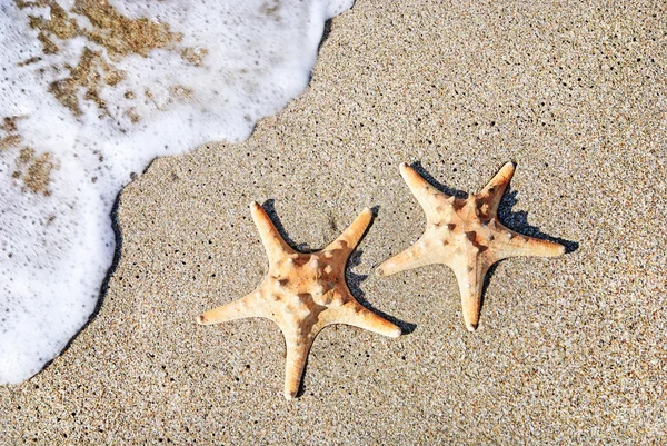 Две морские звезды на песчаном пляже на фоне волн — стоковое фото