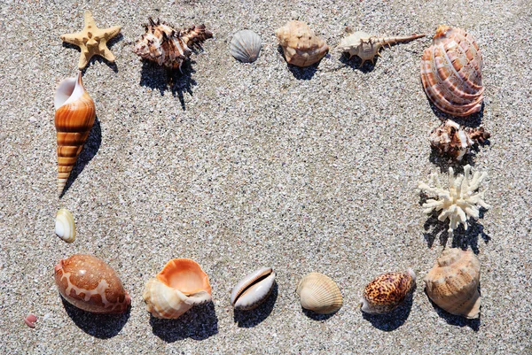 Seashells frame on the beach sand background frame — Stock Photo, Image