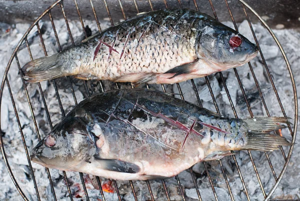 Two beautiful grilled European carps on barbecue — Stock Image Two beautiful grilled European carps on barbecue Stock Image